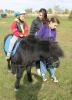 2014 - Koně na Větráku, kroužek pro děti (od září)