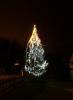 2017-9 - Mikulášská a rozsvícení vánočního stromu (3.12.2017)